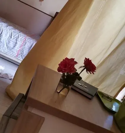 Vip Zone * Sluneční pobřeží